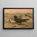 Melanocorypha yeltoniensis - Johann Friedrich Naumann — framed artwork on a wall