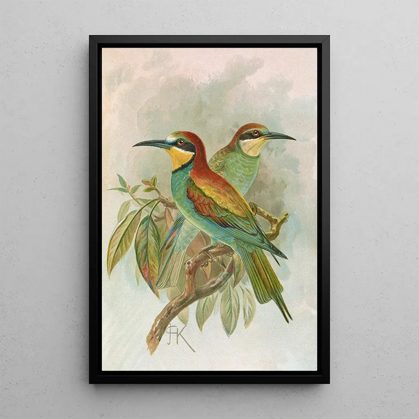 Merops apiaster - Johann Friedrich Naumann — framed artwork on a wall