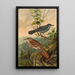 Mimus carolinensis Harporhynchus rufus - Johann Friedrich Naumann — framed artwork on a wall