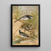 Motacilla lugubris Temm - Johann Friedrich Naumann — framed artwork on a wall