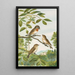 Muscicapa parva Bechst by Johann Friedrich Naumann — framed artwork on a wall