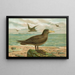 Ossifraga gigantea GMEL Great petrel - Johann Friedrich Naumann — framed artwork on a wall