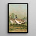 Otis tetrax - Johann Friedrich Naumann — framed artwork on a wall