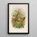 Panurus biarmicus - Johann Friedrich Naumann — framed artwork on a wall