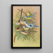 Parus coeruleus Aegithalus caudatus caudatus vagans caudatus Irbyi Parus cyanus Pall - Johann Friedrich Naumann — framed artwork on a wall