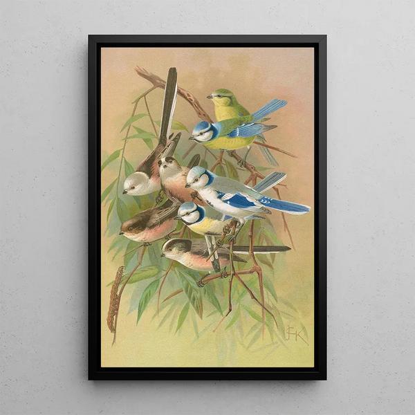 Parus coeruleus Aegithalus caudatus caudatus vagans caudatus Irbyi Parus cyanus Pall - Johann Friedrich Naumann — framed artwork on a wall