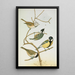 Parus mitratus Parus ater Parus major Parus subpalustris Brm - Johann Friedrich Naumann — framed artwork on a wall