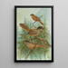 Perisoreus infaustus - Johann Friedrich Naumann — framed artwork on a wall