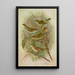Phylloscopus proregulus superciliosus rufus tristis Blyth - Johann Friedrich Naumann — framed artwork on a wall