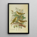 Phylloscopus viridanus nitidus borealis - Johann Friedrich Naumann — framed artwork on a wall