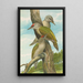Picus canus - Johann Friedrich Naumann — framed artwork on a wall