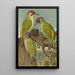 Picus viridis - Johann Friedrich Naumann — framed artwork on a wall