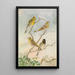 Serinus serinus Serinus pusillus - Johann Friedrich Naumann — framed artwork on a wall