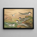 Sterne pierregarin Sterne macrura Sterne de Dougall Sterne naine - Johann Friedrich Naumann — framed artwork on a wall