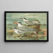 Sterne tschegrava Lepech, Sterne cantiaca Gm, Sterne nilotica Hasselqu - Johann Friedrich Naumann — framed artwork on a wall