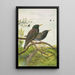 Sturnus vulgaris - Johann Friedrich Naumann — framed artwork on a wall