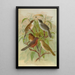 Sylvia melanocephala Sylvia undata Hypolais salicaria - Johann Friedrich Naumann — framed artwork on a wall
