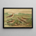 Tringa alpina Schinzi, Tringa minuta Leisl - Johann Friedrich Naumann — framed artwork on a wall