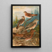 Turdus Naumanni - Johann Friedrich Naumann — framed artwork on a wall