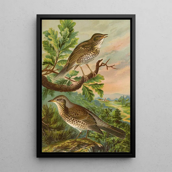 Turdus musicus Turdus pilaris - Johann Friedrich Naumann — framed artwork on a wall