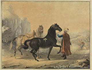 Turkish Painting with a Rappe and a Schimmel - Johann Georg Pforr — artwork view