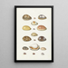 Porcelain Shells Painting - Johann Gustav Hoch — framed artwork on a wall