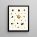Brief history of insects by Dr. Sulzer, Pl. 03 - Johann Heinrich Sulzer — framed artwork on a wall