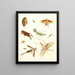 Brief history of insects by Dr. Sulzer, Pl. 08 - Johann Heinrich Sulzer — framed artwork on a wall