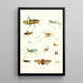Brief history of insects by Dr. Sulzer Pl 09 - Johann Heinrich Sulzer — framed artwork on a wall