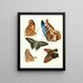 Brief history of insects by Dr. Sulzer, Pl. 12 - Johann Heinrich Sulzer — framed artwork on a wall