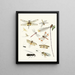 Brief history of insects by Dr. Sulzer, Pl. 23 - Johann Heinrich Sulzer — framed artwork on a wall