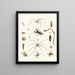 Brief history of insects by Dr. Sulzer, Pl. 28 - Johann Heinrich Sulzer — framed artwork on a wall