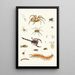 Brief history of insects by Dr. Sulzer Pl 29 - Johann Heinrich Sulzer — framed artwork on a wall
