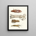 Brief history of insects by Dr. Sulzer, Pl. 31 - Johann Heinrich Sulzer — framed artwork on a wall