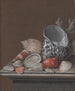 Still life with shells - Johann Jacob Dietzsch — artwork view