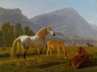 Alpine landscape with horses - Johann Jakob Biedermann — artwork view