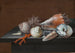 Still life with shells and coral on a table - Johann Jakob Dietzsch — artwork view