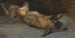 Hare of the field dead lying on the back - Johann Matthias Ranftl — artwork view