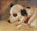 Head of a Dog - Johann Matthias Ranftl — artwork view