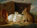 Trois lapins dans un paysage - Johann Wenzel Peter — artwork view