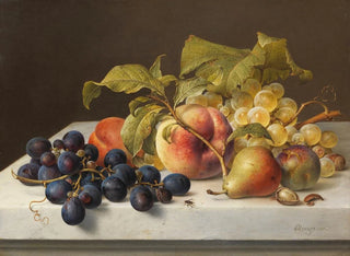 Fruit and Vegetable Still Life Painting - Johann Wilhelm Preyer — artwork view