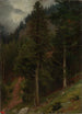 Reproduction of the painting Slope in the Pine Forest - Johann Wilhelm Schirmer