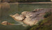 Rive rocheuse - Johann Wilhelm Schirmer — artwork view