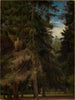 Clearings in the Pine Forest - Johann Wilhelm Schirmer — artwork view
