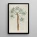 Phytanthoza iconographia Pl027 - Johann Wilhelm Weinmann — framed artwork on a wall