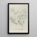 Phytanthoza iconographia Pl044 - Johann Wilhelm Weinmann — framed artwork on a wall