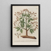 Phytanthoza iconographia Pl047 - Johann Wilhelm Weinmann — framed artwork on a wall