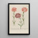 Phytanthoza iconographia Pl056 - Johann Wilhelm Weinmann — framed artwork on a wall