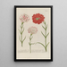 Phytanthoza iconographia Pl060 - Johann Wilhelm Weinmann — framed artwork on a wall