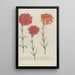 Phytanthoza iconographia Pl061 - Johann Wilhelm Weinmann — framed artwork on a wall